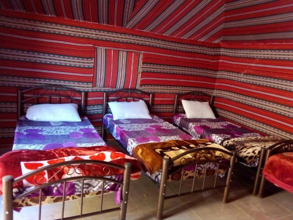Wadi Rum Moon Camp Zewnętrze zdjęcie