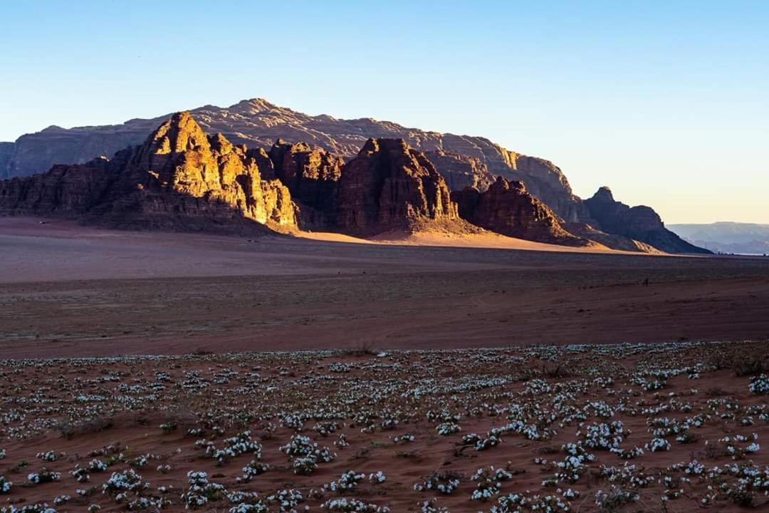 Wadi Rum Moon Camp Zewnętrze zdjęcie